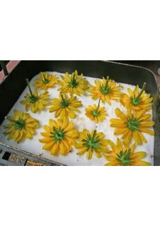 Silicagel uscat flori 1-3 mm perlat